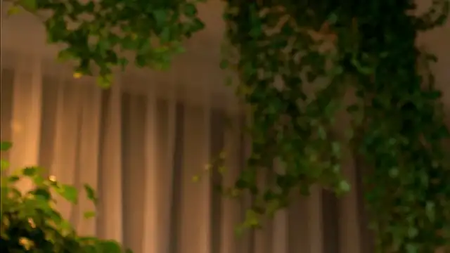 TheMaddisonShow  online show from 4, 3, 2026