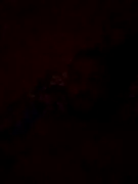 Snapshot of Blisiomar chatting on 30, 5, 2026 Blisiomar online show from 30, 5, 2026
