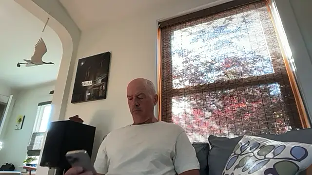 Snapshot of Guy__Grey chatting on 17, 7, 2026 Guy Grey online show from 17, 7, 2026