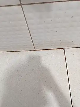 negopreto  online show from 26, 2, 2026