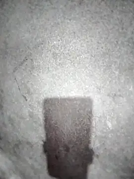 Snapshot of ngocbao11 chatting on 10, 3, 2026 ngocbao11 online show from 10, 3, 2026