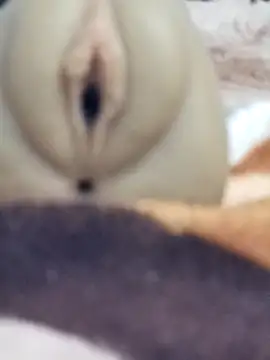 Snapshot of Mikecrazyhy chatting on 25, 2, 2026 Mikecrazyhy online show from 25, 2, 2026