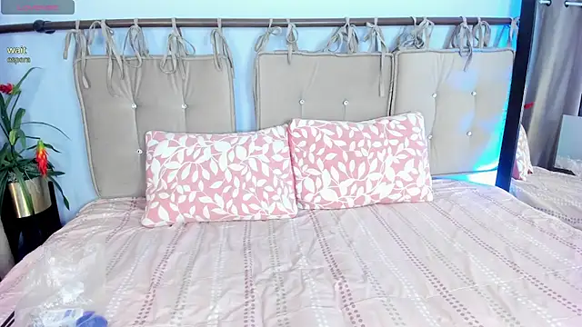 aurora wander online show from 24, 2, 2026