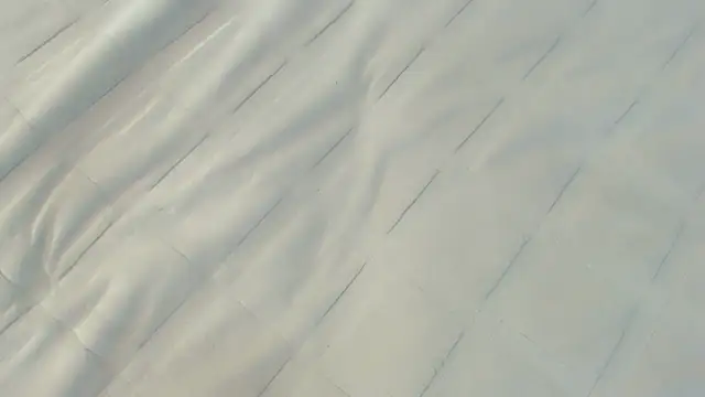 Ass Lovss online show from 12, 6, 2026