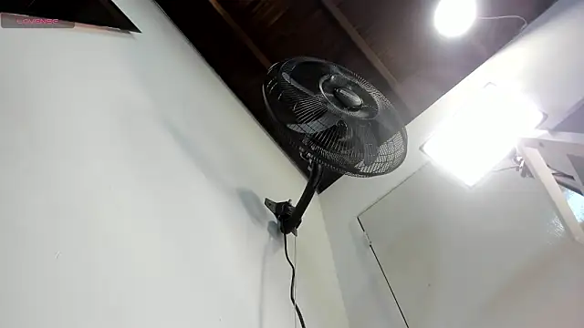 ursafrost online show from 30, 4, 2026