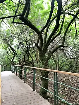 Snapshot of The_Conquer chatting on 10, 4, 2026 The Conquer online show from 10, 4, 2026