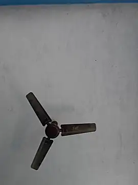 Snapshot of 67sanju chatting on 28, 2, 2026 67sanju online show from 28, 2, 2026