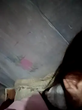 pic8800 online show from 8, 3, 2026