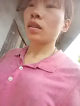 pic8800 online show from 28, 3, 2026