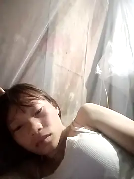 pic8800 online show from 31, 3, 2026