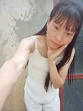pic8800 online show from 16, 5, 2026