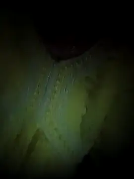 Rashmika Mandana online show from 8, 4, 2026