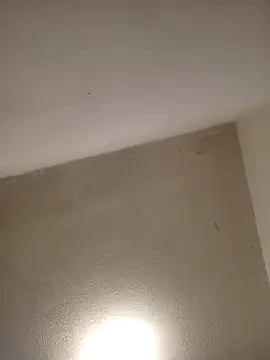 priscilaf online show from 7, 4, 2026