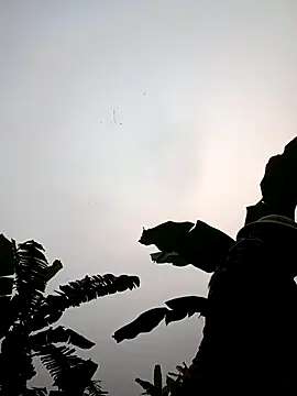 JenyLy68 online show from 27, 3, 2026