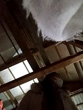 Heylen hooo online show from 16, 3, 2026