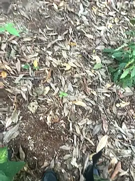 Snapshot of bibedro chatting on 28, 2, 2026 bibedro online show from 28, 2, 2026