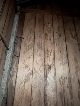 Mizu-hotshow online show from 29, 3, 2026