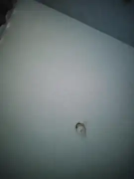 misteriosocam40 online show from 9, 4, 2026