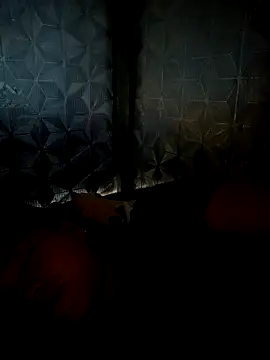 dualeo11 online show from 30, 3, 2026