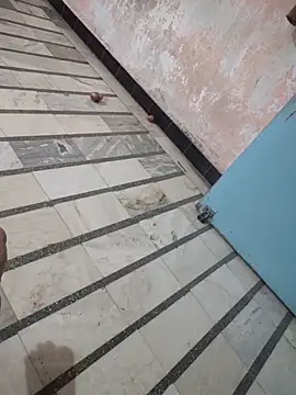 Tamillaxmi12 online show from 7, 3, 2026