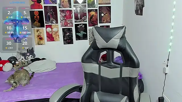 Agarycus 4 online show from 16, 4, 2026