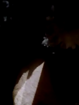 Adix 02six online show from 14, 4, 2026