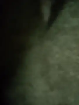 Pop1977 online show from 7, 4, 2026