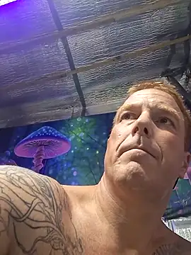 drednasty online show from 29, 3, 2026