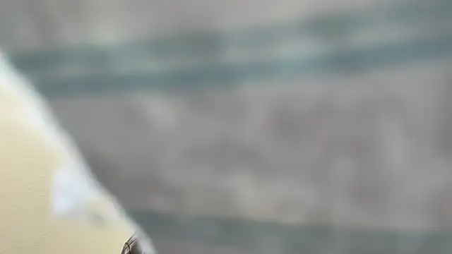 Snapshot of the-gen-xxx chatting on 17, 3, 2026 the-gen-xxx online show from 17, 3, 2026