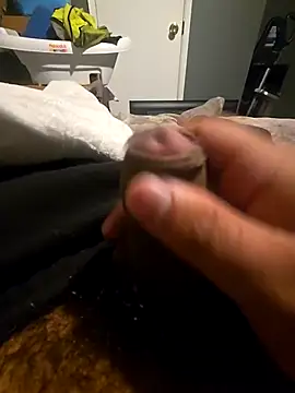 bluedream420b online show from 5, 3, 2026