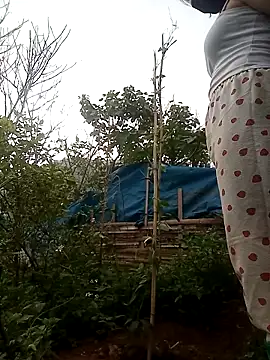 Bling-pusy online show from 25, 4, 2026