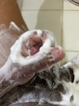 Chotiluli4 online show from 12, 4, 2026