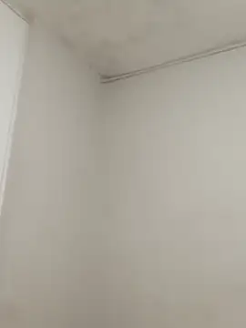 hacheshx online show from 17, 3, 2026