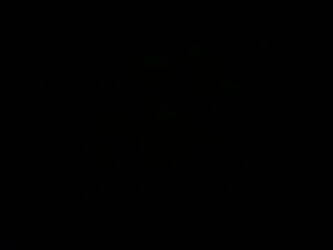 Snapshot of SoftAmjad chatting on 4, 5, 2026 SoftAmjad online show from 4, 5, 2026