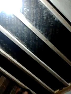 YAONIKUTE online show from 25, 4, 2026