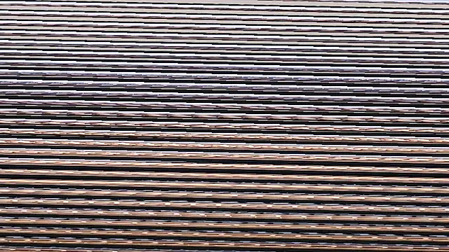 horsemeatcock ellison online show from 15, 4, 2026