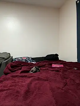 treasurebabii online show from 31, 3, 2026