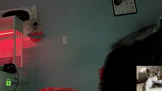 Snapshot of NatryDark chatting on 16, 5, 2026 NatryDark online show from 16, 5, 2026