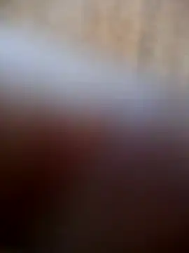 kingman6298 online show from 21, 3, 2026