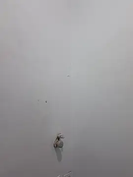 Aila Phone online show from 29, 3, 2026