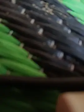 kingcouple89 online show from 7, 4, 2026