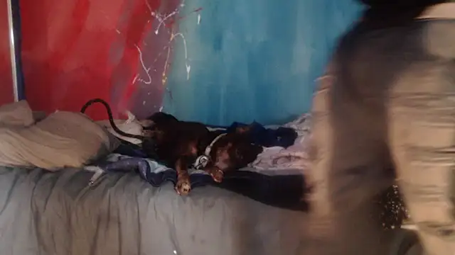 Snapshot of punkyslut69 chatting on 14, 4, 2026 punkyslut69 online show from 14, 4, 2026