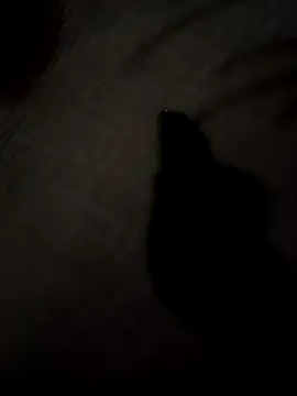 SEXY COUPLE65 online show from 24, 3, 2026