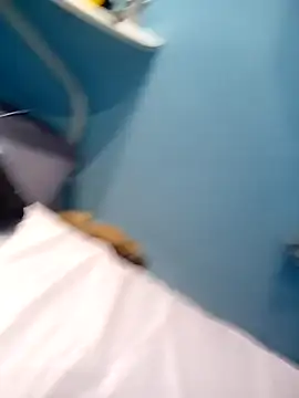 Negaopeludodom online show from 11, 4, 2026