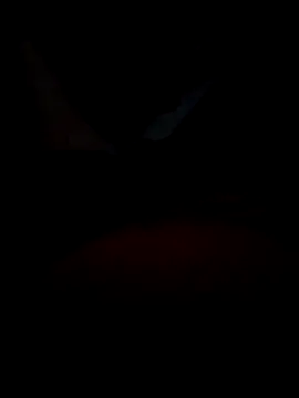 B S0051 online show from 10, 4, 2026