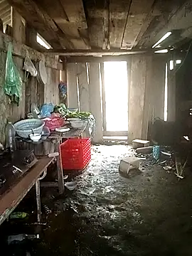 Lily Daisy online show from 25, 3, 2026