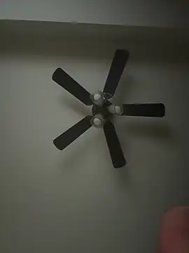 whitelioncody online show from 17, 4, 2026