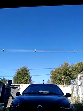 Switzerland32 online show from 12, 4, 2026