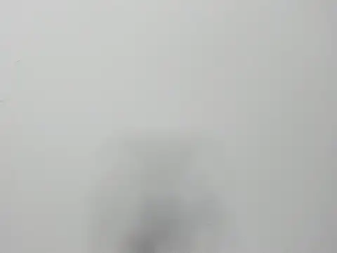 Alejandra and James  online show from 29, 3, 2026