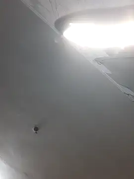 ShellBixAngeLL online show from 1, 4, 2026